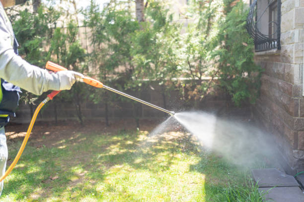 Professional Pest Control in Strawberry Plains, TN